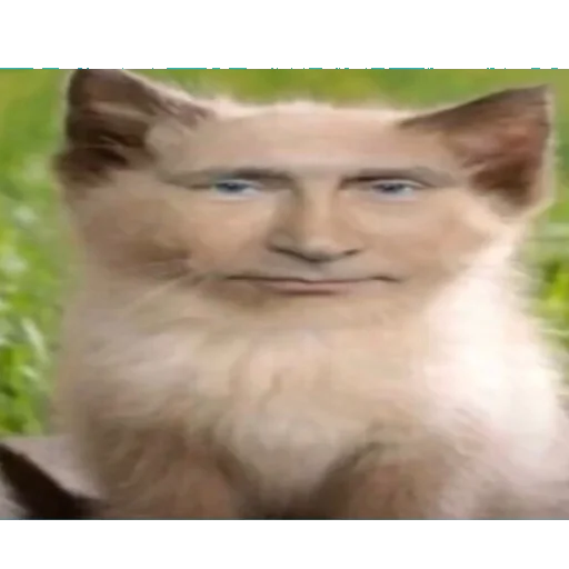 Sticker влад бумага 🤯 - 3