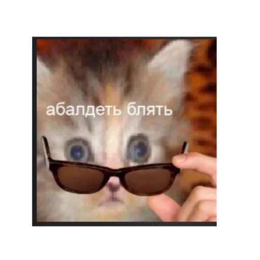 Sticker влад бумага 🤯 - 2