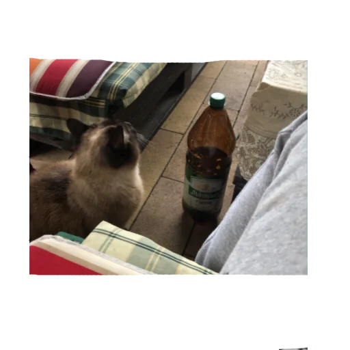 Sticker влад бумага 🤯 - 1