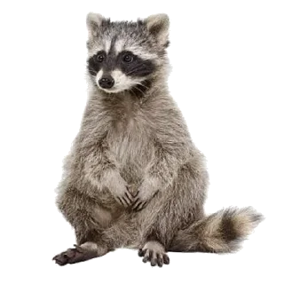 Sticker Memstick_01 - 6