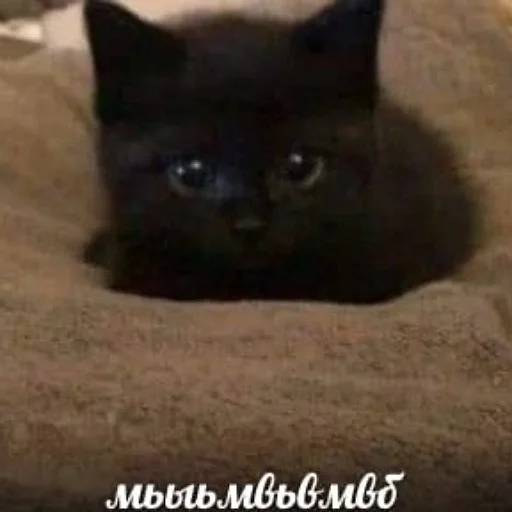 Sticker Р. У. - 10