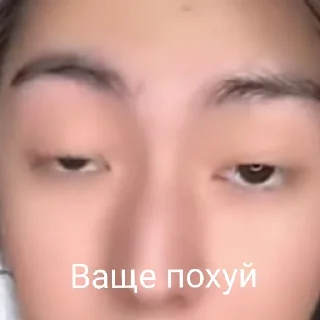 Sticker Мемы - 7