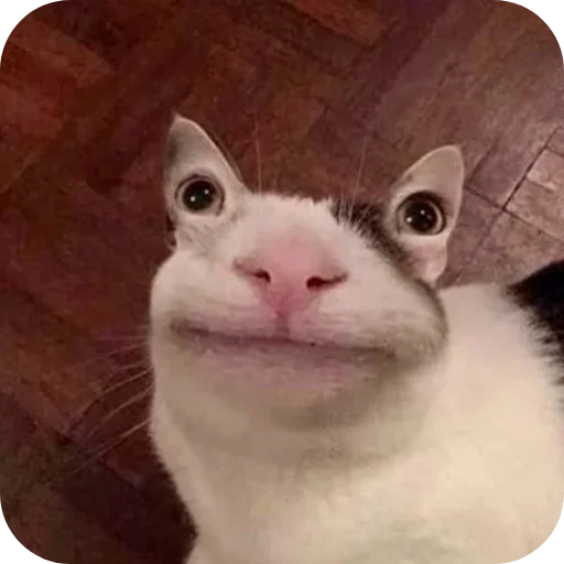 Sticker MemyBychitermegaloh - 1