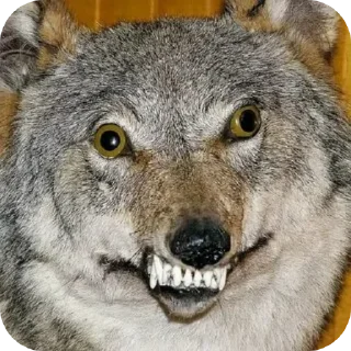 Sticker Мемы by#chitermegaloh - 4