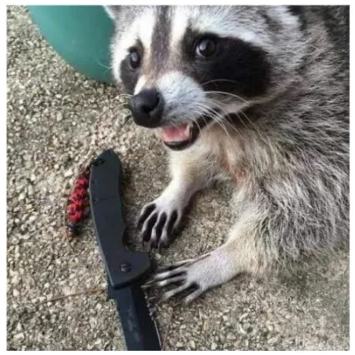 Sticker MemyPart1 - 1