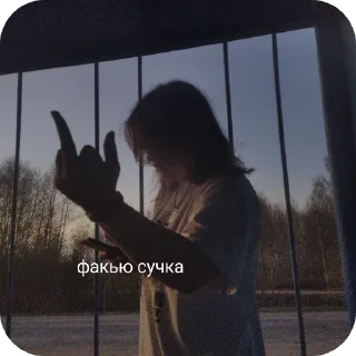 Sticker мемыы🙄🙄🙄🙄🙄 - 7