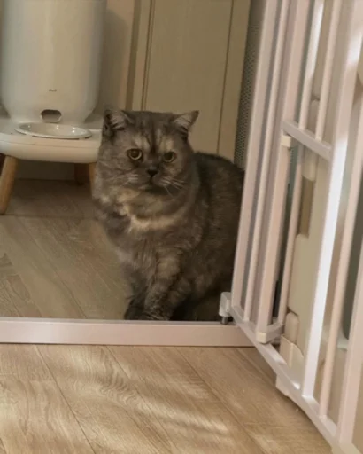 Меору @UgoleshekGoma - 