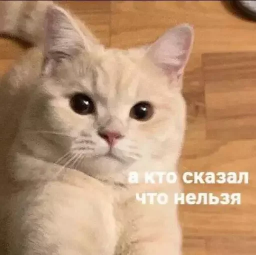 Sticker MeowBots2 - 1