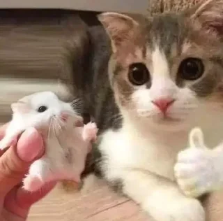 Sticker MeowBots 2 - 3