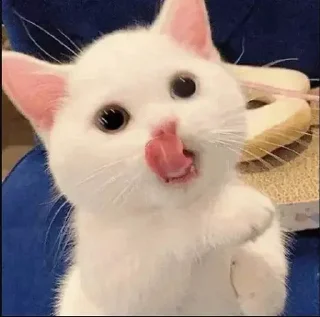 Sticker MeowBots 2 - 4