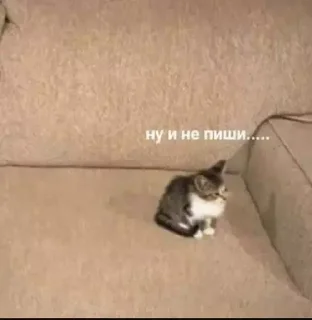 Sticker MeowBots 2 - 1