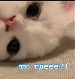 Sticker MeowBots 2 - 9