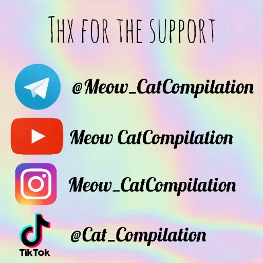 СМС скриншот шрифт