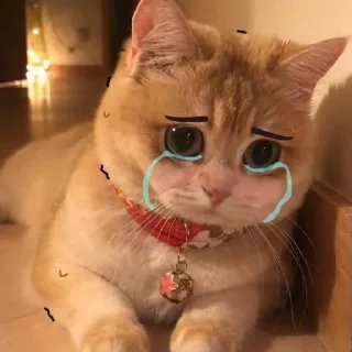 Стикер Meowshkin - 2