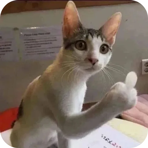 Sticker Meowstickmeow - 1