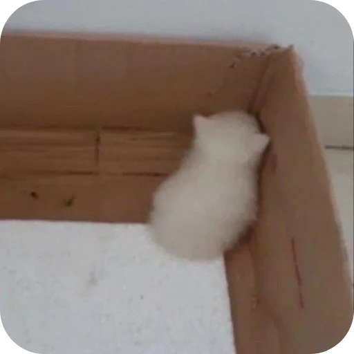 Sticker Meowstickmeow - 1