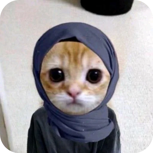 Стикер Meowstickmeow - 1