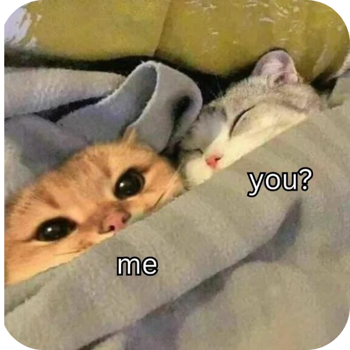 Стикер Meowstickmeow - 1