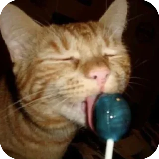 Sticker @sawmeow - 10