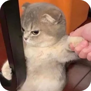 Sticker @sawmeow - 6