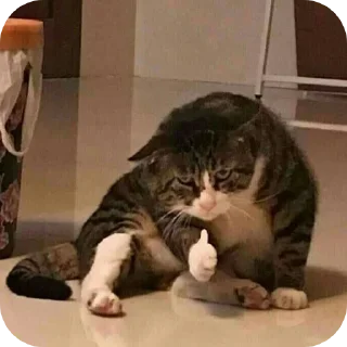 Sticker @sawmeow - 11