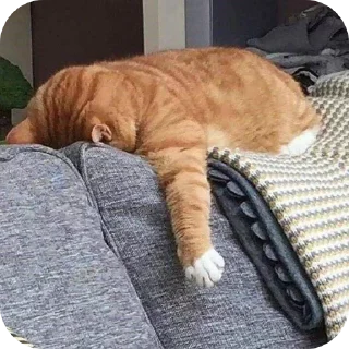 Sticker @sawmeow - 1