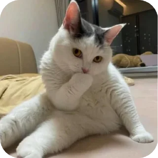 Sticker @sawmeow - 7