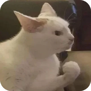 Sticker @sawmeow - 3