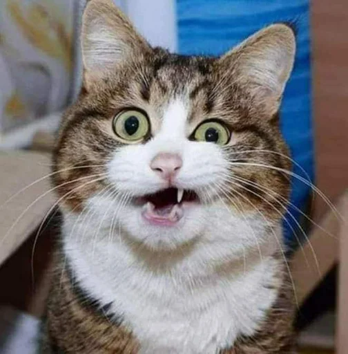 Sticker Meowstkpacks - 1