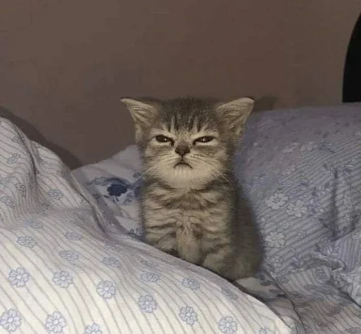 Sticker Meowstkpacks - 1