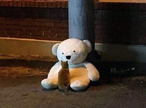 Sticker Meowstkpacks - 1