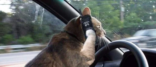 Sticker Meowstkpacks - 1