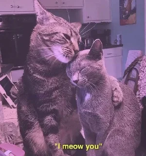 Sticker Meoww Pecc // @ZoldyckStickers - 4