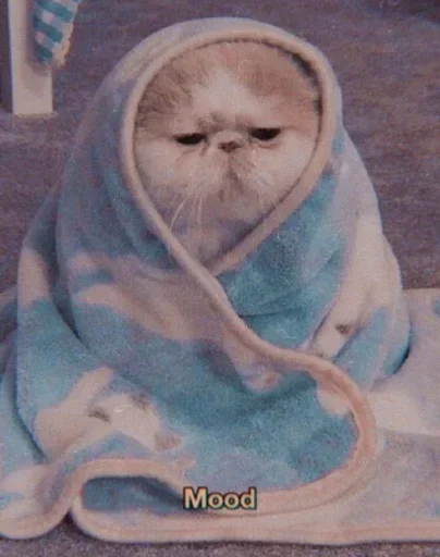 Sticker Meoww_meoww - 1