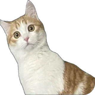 Sticker Меридос @TgEmodziBot - 0