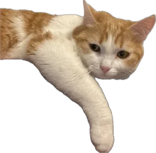 Sticker Меридос @TgEmodziBot - 5