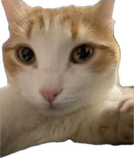 Sticker Меридос @TgEmodziBot - 9