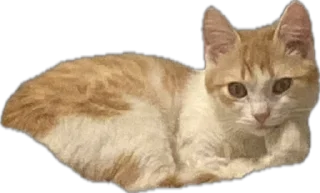 Sticker Меридос @TgEmodziBot - 7