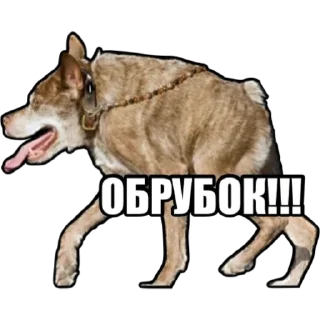 Стикер W203 family by@berezzi - 8