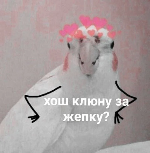 животное птица