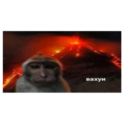 Места вахуи - 