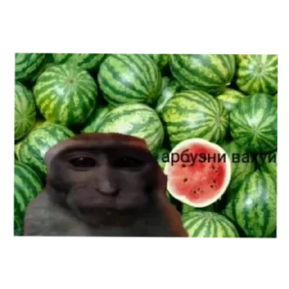 Sticker Места вахуи - 7