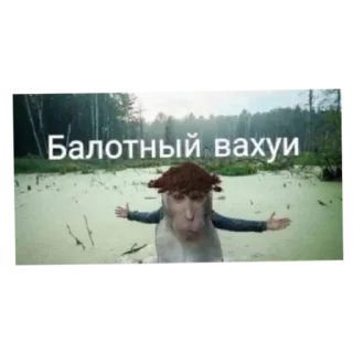 Sticker Места вахуи - 11