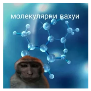 Sticker Места вахуи - 6