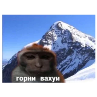 Sticker Места вахуи - 1