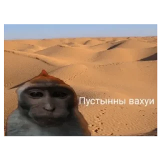 Sticker Места вахуи - 5