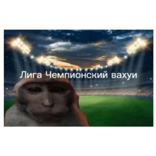 Sticker Места вахуи - 10