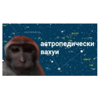 Sticker Места вахуи - 4