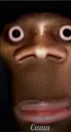 Sticker Premium Stickers - 9