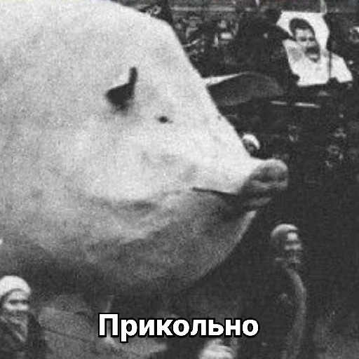 Sticker Metaironiyastickers - 1